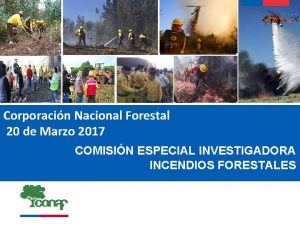 Corporacin Nacional Forestal 20 de Marzo 2017 COMISIN