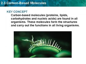 2 3 CarbonBased Molecules KEY CONCEPT Carbonbased molecules