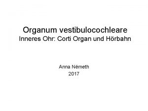 Organum vestibulocochleare Inneres Ohr Corti Organ und Hrbahn