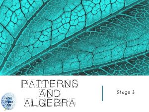 Alice Vigors 2017 PATTERNS AND ALGEBRA Stage 3