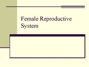 Female Reproductive System Female Reproductive System n Is