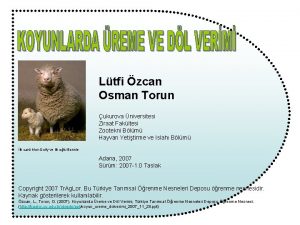 Ltfi zcan Osman Torun ukurova niversitesi Ziraat Fakltesi