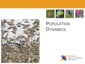 POPULATION DYNAMICS Population Size Four variables that govern