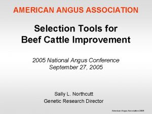 AMERICAN ANGUS ASSOCIATION Selection Tools for Beef Cattle