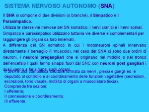 SISTEMA NERVOSO AUTONOMO SNA Il SNA si compone