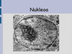 Nukleoa Historia Nukleoa 1831 urtean aurkitu zuen Robert