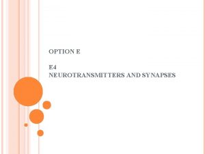 OPTION E E 4 NEUROTRANSMITTERS AND SYNAPSES E