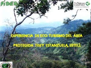 EXPERIENCIA DE ECOTURISMO DEL REA PROTEGIDA TISEY ESTANZUELA