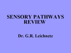 SENSORY PATHWAYS REVIEW Dr G R Leichnetz Somatosensory