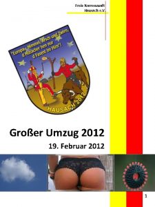 Freie Narrenzunft Hausach e V Groer Umzug 2012