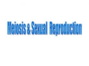 Introduction Meiosis Sexual Reproduction Sexual Reproduction Involves two