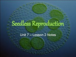 Seedless reproduction