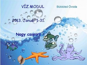 VZ MODUL 2013 Janur 1 31 Nagy csoport