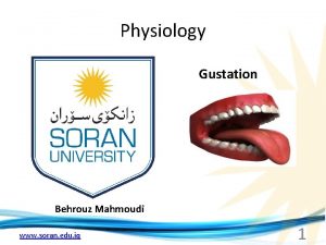 Physiology Gustation Behrouz Mahmoudi www soran edu iq