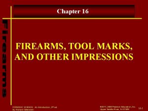 Chapter 16 FIREARMS TOOL MARKS AND OTHER IMPRESSIONS