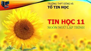 TRNG THPT NG H T TIN HC 11