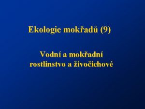 Ekologie mokad 9 Vodn a mokadn rostlinstvo a