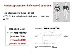 Facioskapulohumerln svalov dystrofie AD ddinost incidence 1 20
