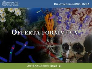 DIPARTIMENTO DI BIOLOGIA OFFERTA FORMATIVA ANNO ACCADEMICO 2020