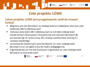 Cele projektu LOWE Celem projektu LOWE jest przygotowanie