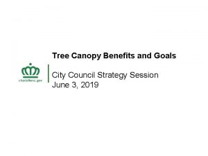 Tree Canopy Benefits and Goals City Council Strategy