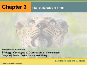 Chapter 3 The Molecules of Cells Power Point