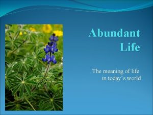 Abundant Life The meaning of life in todays