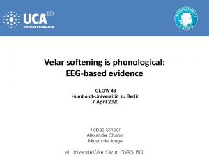 Velar softening is phonological EEGbased evidence GLOW 43