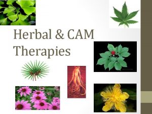 Herbal CAM Therapies Definitions Herbal 1 the art