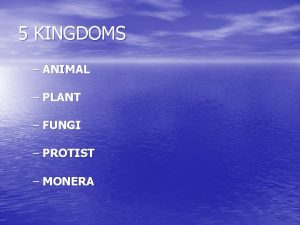 5 KINGDOMS ANIMAL PLANT FUNGI PROTIST MONERA Animal