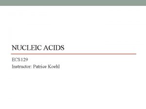 NUCLEIC ACIDS ECS 129 Instructor Patrice Koehl Nucleic