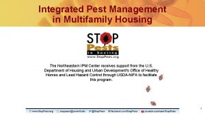Integrated Pest Management in Multifamily Housing The Northeastern