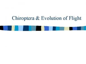Chiroptera Evolution of Flight Vertebrate Flight n True