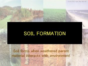 SOIL FORMATION Soil forms when weathered parent material