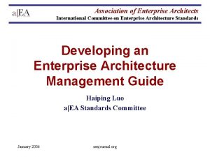 Association of Enterprise Architects International Committee on Enterprise
