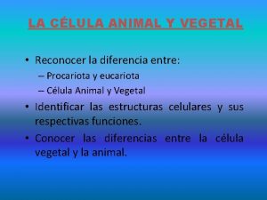 LA CLULA ANIMAL Y VEGETAL Reconocer la diferencia