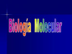 Estudios Moleculares Hemoglobinopatas Sicklemia talasemia Hemopatas malignas ESTUDIOS