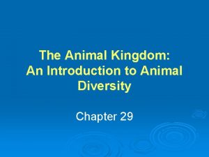 The Animal Kingdom An Introduction to Animal Diversity