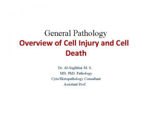 General Pathology Overview of Cell Injury and Cell