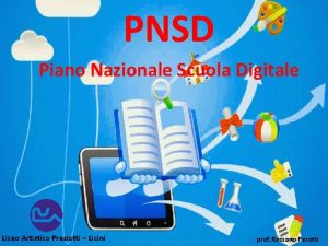 Pnsd schema