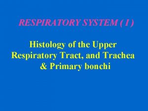 RESPIRATORY SYSTEM I Histology of the Upper Respiratory