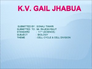 K V GAIL JHABUA SUBMITTED BY SONALI TIWARI