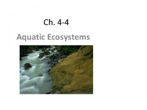 Ch 4 4 Aquatic Ecosystems Aquatic Ecosystems Nearly