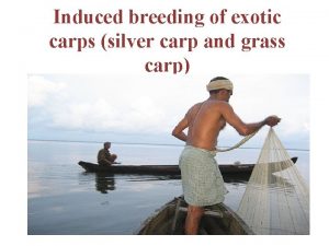 Induced breeding of exotic carps silver carp and