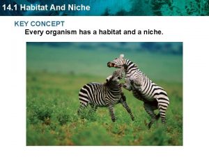 14 1 Habitat And Niche KEY CONCEPT Every