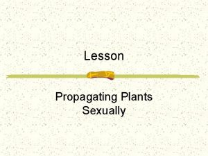 Lesson Propagating Plants Sexually Interest Approach Using the
