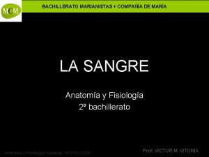 BACHILLERATO MARIANISTAS COMPAA DE MARA LA SANGRE Anatoma