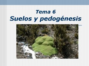 Tema 6 Suelos y pedognesis Suelo n n