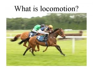 What is locomotion What is locomotion Locomotion the