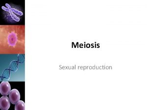 Meiosis Sexual reproduction Mitosis v Meiosis There are